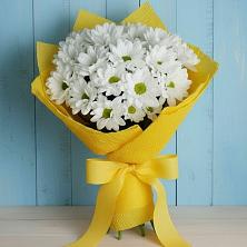 Букет цветов из:  Хризантемы в Зеленой Роще
